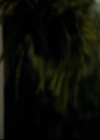VampireDiariesWorld-dot-org_2x16TheHouseGuest1882.jpg