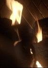 VampireDiariesWorld-dot-org_2x18TheLastDance1843.jpg