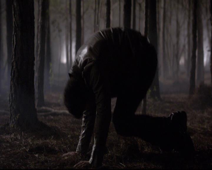 VampireDiariesWorld-dot-org_2x20TheLastDay1956.jpg