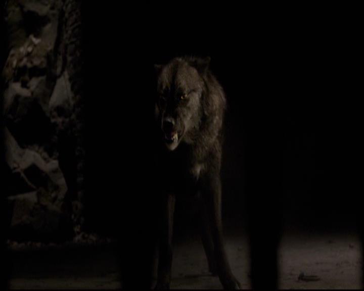 VampireDiariesWorld-dot-org_2x20TheLastDay2133.jpg