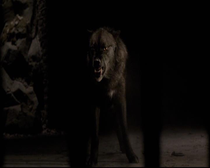 VampireDiariesWorld-dot-org_2x20TheLastDay2134.jpg