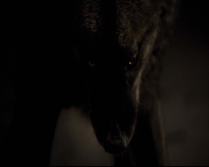 VampireDiariesWorld-dot-org_2x20TheLastDay2137.jpg