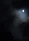 VampireDiariesWorld-dot-org_2x20TheLastDay1909.jpg