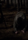 VampireDiariesWorld-dot-org_2x20TheLastDay1911.jpg