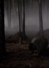 VampireDiariesWorld-dot-org_2x20TheLastDay1959.jpg