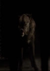 VampireDiariesWorld-dot-org_2x20TheLastDay2133.jpg