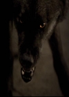 VampireDiariesWorld-dot-org_2x20TheLastDay2143.jpg