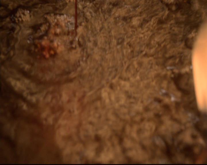 VampireDiariesWorld-dot-org_2x21TheSunAlsoRises1405.jpg VampireDiariesWorld-dot-org_2x21TheSunAlsoRises1405.jpg