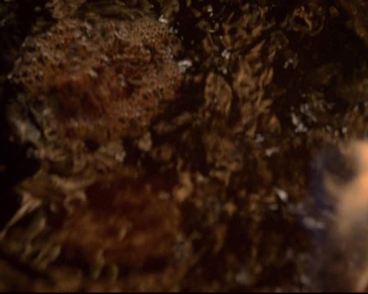 VampireDiariesWorld-dot-org_2x21TheSunAlsoRises1406.jpg VampireDiariesWorld-dot-org_2x21TheSunAlsoRises1406.jpg