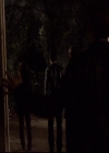 VampireDiariesWorld-dot-org_2x21TheSunAlsoRises1235.jpg