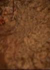 VampireDiariesWorld-dot-org_2x21TheSunAlsoRises1405.jpg