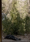 VampireDiariesWorld-dot-org_2x21TheSunAlsoRises1818.jpg