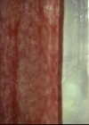 VampireDiariesWorld-dot-org_2x21TheSunAlsoRises2072.jpg