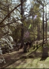 VampireDiariesWorld-dot-org_2x21TheSunAlsoRises2074.jpg
