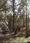 VampireDiariesWorld-dot-org_2x21TheSunAlsoRises2075.jpg