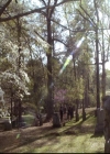 VampireDiariesWorld-dot-org_2x21TheSunAlsoRises2076.jpg
