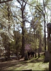 VampireDiariesWorld-dot-org_2x21TheSunAlsoRises2077.jpg