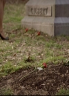 VampireDiariesWorld-dot-org_2x21TheSunAlsoRises2149.jpg