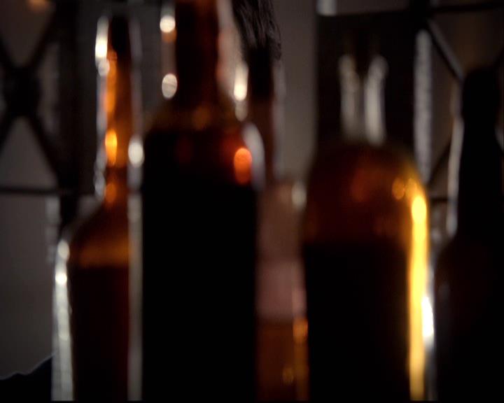 VampireDiariesWorld-dot-org_2x22AsILayDying0088.jpg