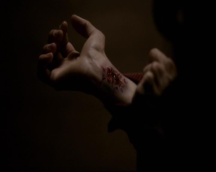 VampireDiariesWorld-dot-org_2x22AsILayDying1087.jpg