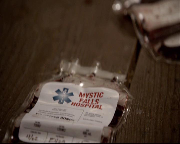 VampireDiariesWorld-dot-org_2x22AsILayDying1822.jpg