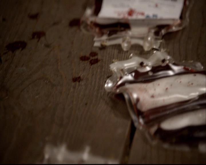 VampireDiariesWorld-dot-org_2x22AsILayDying1823.jpg