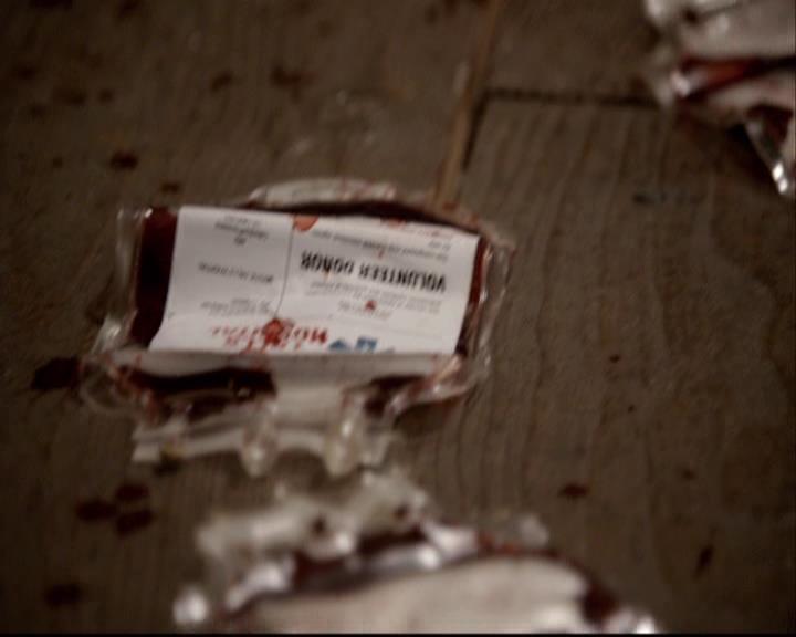VampireDiariesWorld-dot-org_2x22AsILayDying1824.jpg