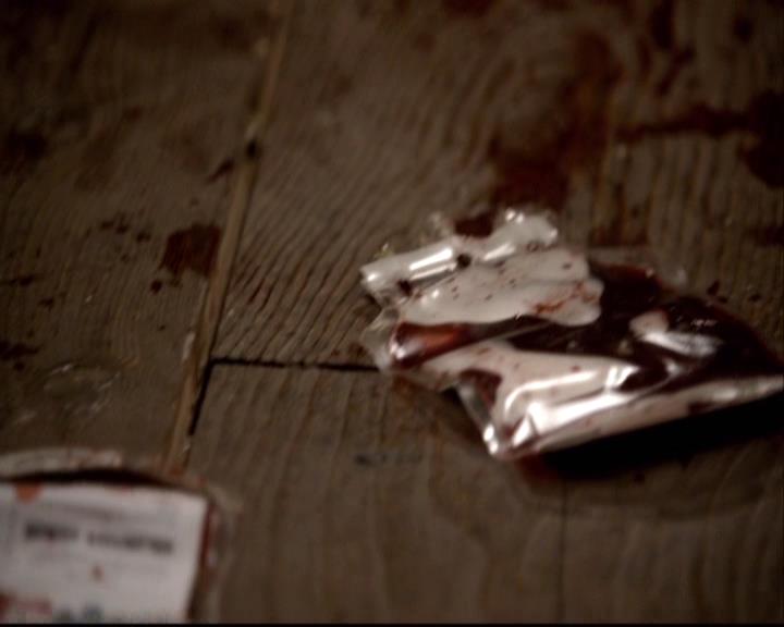 VampireDiariesWorld-dot-org_2x22AsILayDying1825.jpg
