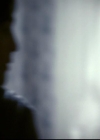 VampireDiariesWorld-dot-org_2x22AsILayDying0677.jpg