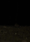 VampireDiariesWorld-dot-org_Seizoen2-DVDExtras-HerOwnWorstEnemy_ElenaKatherineandNina0119.jpg