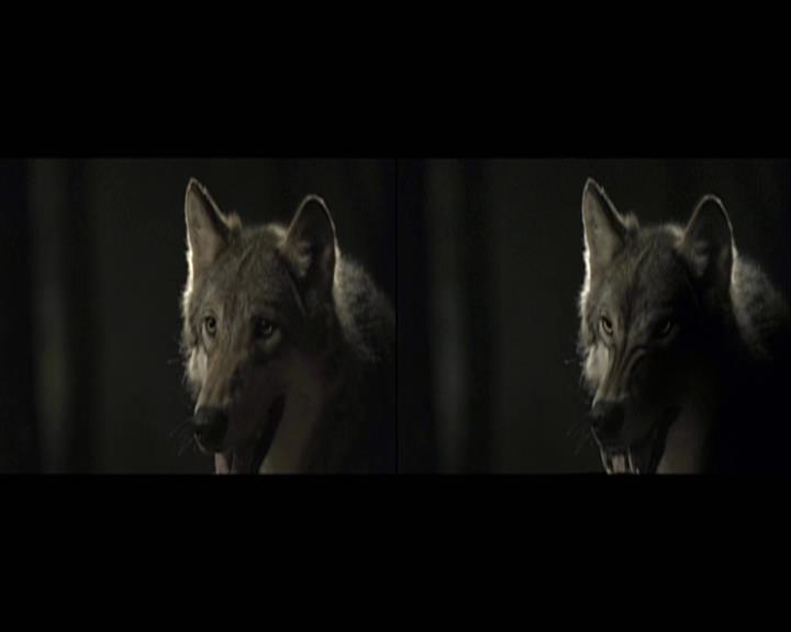 VampireDiariesWorld-dot-org_Seizoen2-DVDExtras-PagesOfTheWolf-BuildingTheBeast0131.jpg