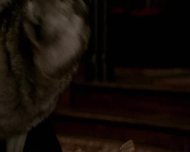 VampireDiariesWorld-dot-org_Seizoen2-DVDExtras-PagesOfTheWolf-BuildingTheBeast0204.jpg