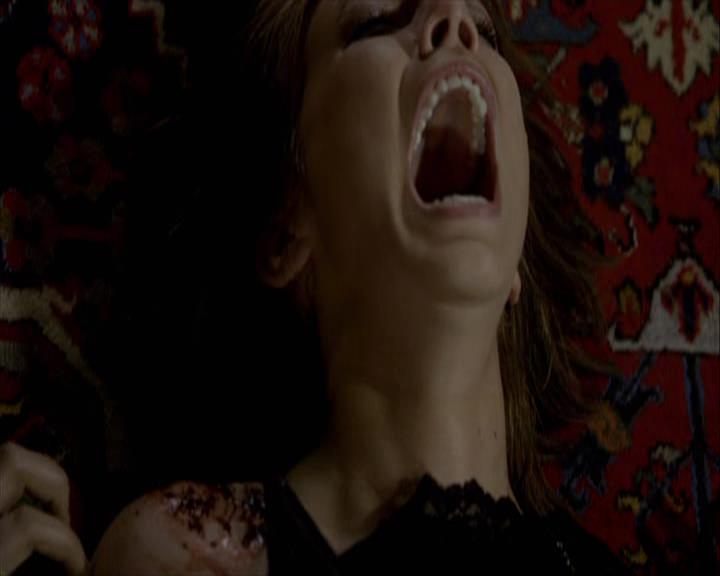 VampireDiariesWorld-dot-org_Seizoen2-DVDExtras-PagesOfTheWolf-BuildingTheBeast0205.jpg