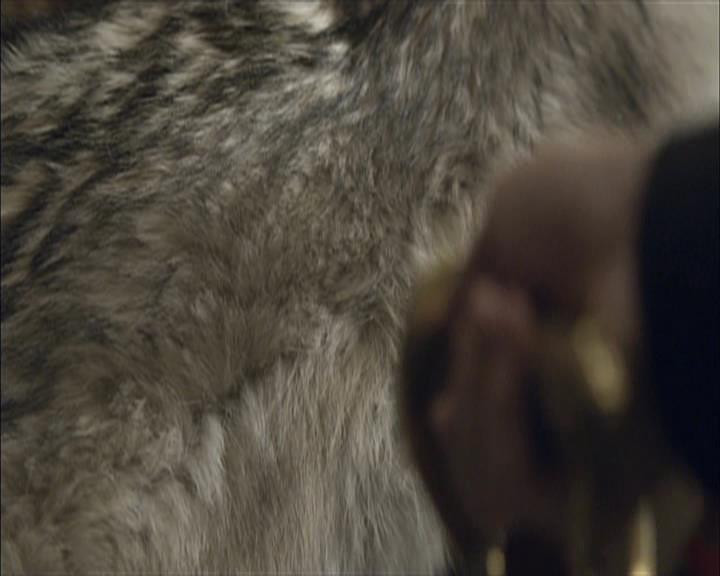 VampireDiariesWorld-dot-org_Seizoen2-DVDExtras-PagesOfTheWolf-BuildingTheBeast0215.jpg VampireDiariesWorld-dot-org_Seizoen2-DVDExtras-PagesOfTheWolf-BuildingTheBeast0215.jpg