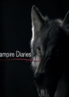 VampireDiariesWorld-dot-org_Seizoen2-DVDExtras-PagesOfTheWolf-BuildingTheBeast0005.jpg