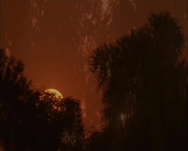 VampireDiariesWorld-dot-org_Seizoen2-DVDExtras-PagesOfTheWolf-HowlingAtTheMoon0001.jpg