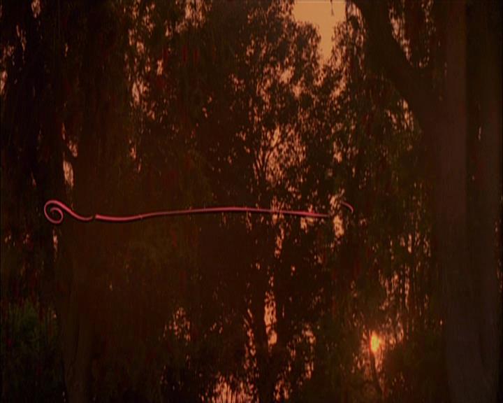 VampireDiariesWorld-dot-org_Seizoen2-DVDExtras-PagesOfTheWolf-HowlingAtTheMoon0002.jpg