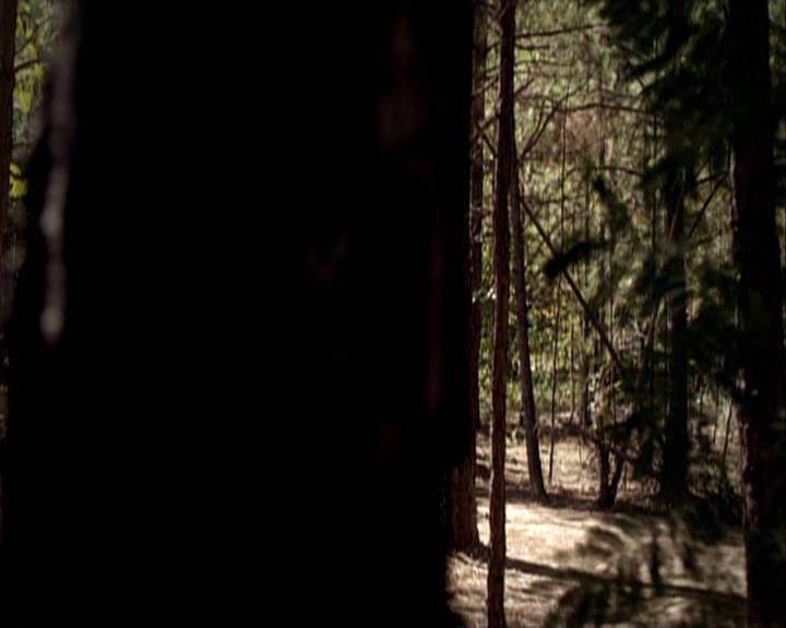 VampireDiariesWorld-dot-org_Seizoen2-DVDExtras-PagesOfTheWolf-HowlingAtTheMoon0052.jpg