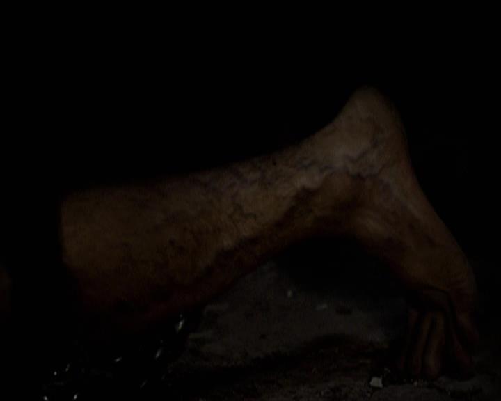 VampireDiariesWorld-dot-org_Seizoen2-DVDExtras-PagesOfTheWolf-HowlingAtTheMoon0128.jpg