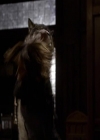 VampireDiariesWorld-dot-org_Seizoen2-DVDExtras-ThePerfectLoveTriangle-VampiresWerewolvesWitches0023.jpg