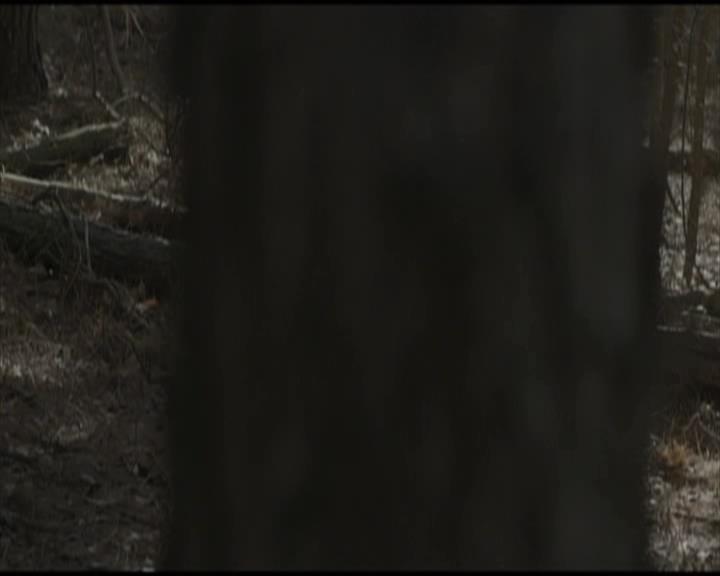 VampireDiariesWorld-dot-org_Seizoen2-DVDScenes-2x11ByTheLightOfTheMoon0215.jpg