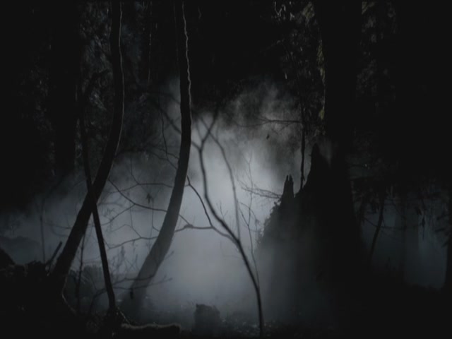 VampireDiariesWorld-dot-org-TVD_3x01TheBirthday0000.jpg