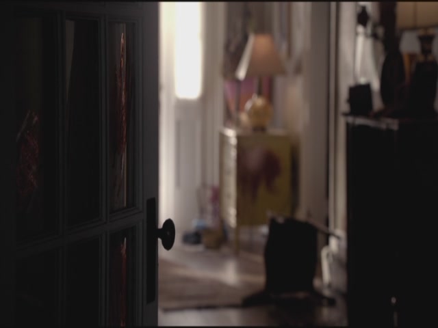 VampireDiariesWorld-dot-org-TVD_3x01TheBirthday0658.jpg