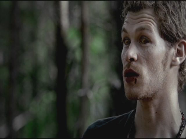 VampireDiariesWorld-dot-org-TVD_3x02TheHybrid2802.jpg