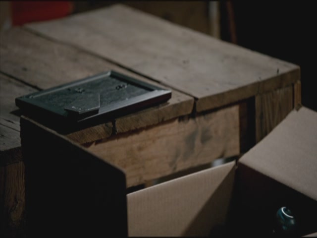 VampireDiariesWorld-dot-org-TVD_3x02TheHybrid3492.jpg