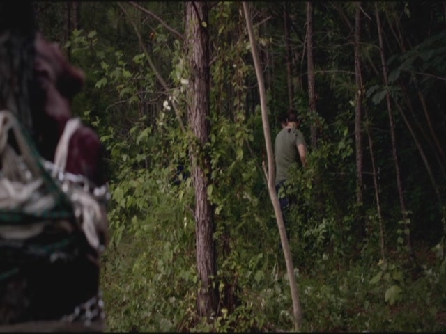 VampireDiariesWorld-dot-org-TVD_3x02TheHybrid3558.jpg