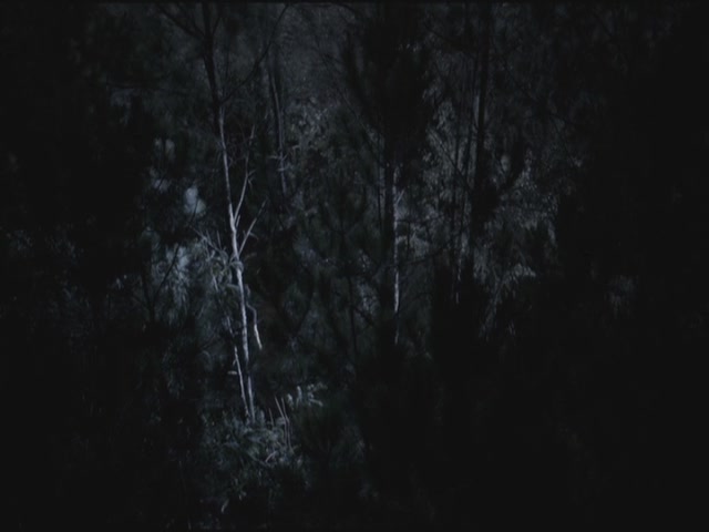 VampireDiariesWorld-dot-org-TVD_3x02TheHybrid3686.jpg