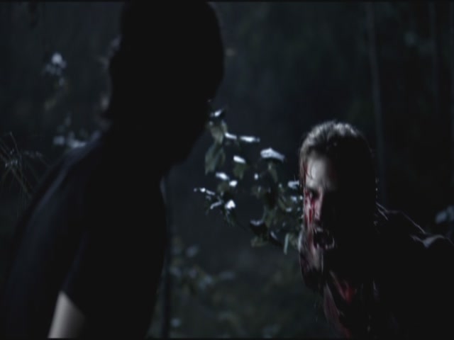 VampireDiariesWorld-dot-org-TVD_3x02TheHybrid3720.jpg
