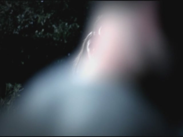 VampireDiariesWorld-dot-org-TVD_3x02TheHybrid3866.jpg