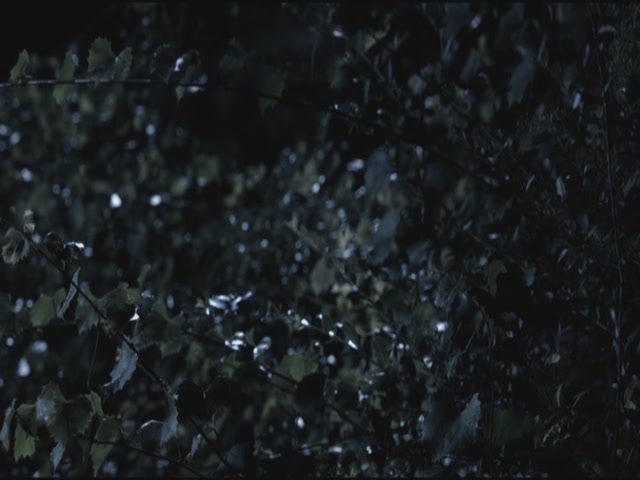 VampireDiariesWorld-dot-org-TVD_3x02TheHybrid3883.jpg